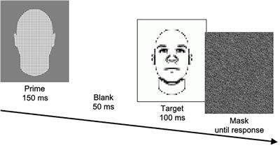 Further Validation of Measures of Target Detection and Stereotype Activation in the Stereotype Misperception Task